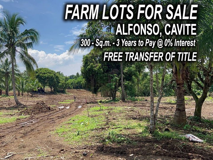 Alfonso Cavite - Farm Lot - 3 Years to Pay - Free Transfer of Title
