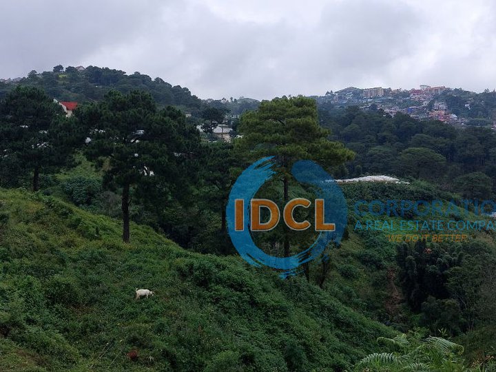 INVESTMENT COUNTRYSIDE RESIDENTIAL LOT IN BAGUIO CITY