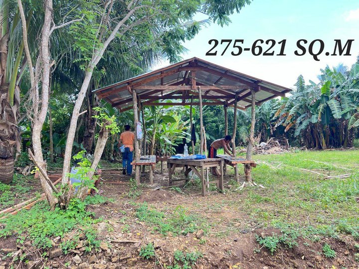 275 SQM TITLE & GATED FARM LOT NEAR CRISANTO ROAD IN AMADEO