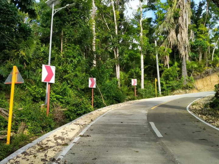 7000sqm Prime Bohol Land For Sale Overlooking Loboc River