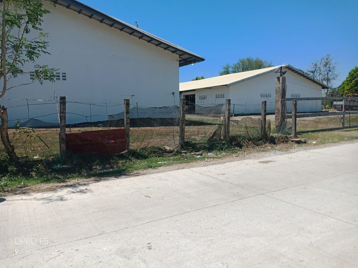 3.6 hectares Agro-Industrial Farm For Sale in Cuyapo Nueva Ecija