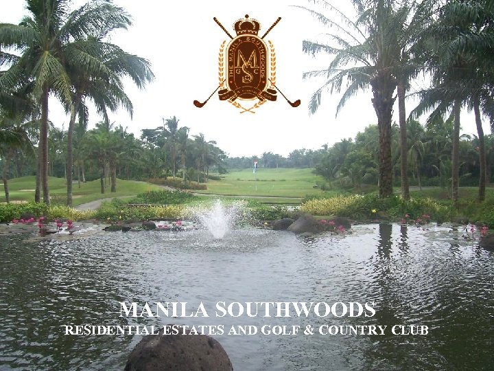 Lot for Sale The Manila Southwoods Residential Estates Carmona Cavite
