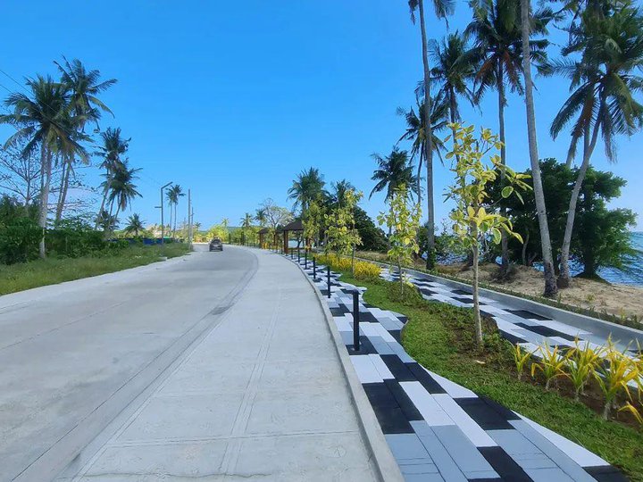 : 706 sqm Residential Beach Lot in Playa Laiya San Juan Batangas near Solmera Coast