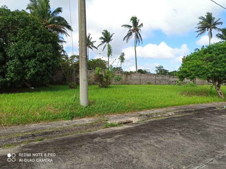 One (1) Perimeter Residential lot for sale in South Midland