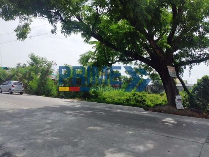 Commercial Lot Perfect for Gas Stations in Pulilan, Bulacan|3,200 sqm.