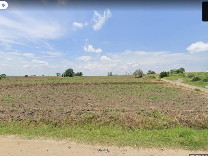 10 hectares Agricultural Farm For Sale in Ilagan Isabela - CLEAN TITLE