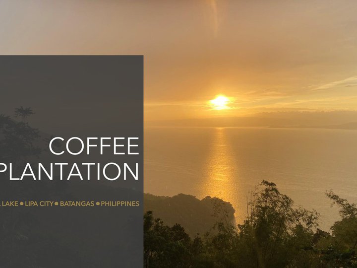 Coffee Farm For Sale with View of and Access to Taal Lake