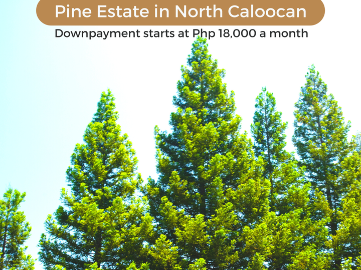 Pine Estate in North Caloocan