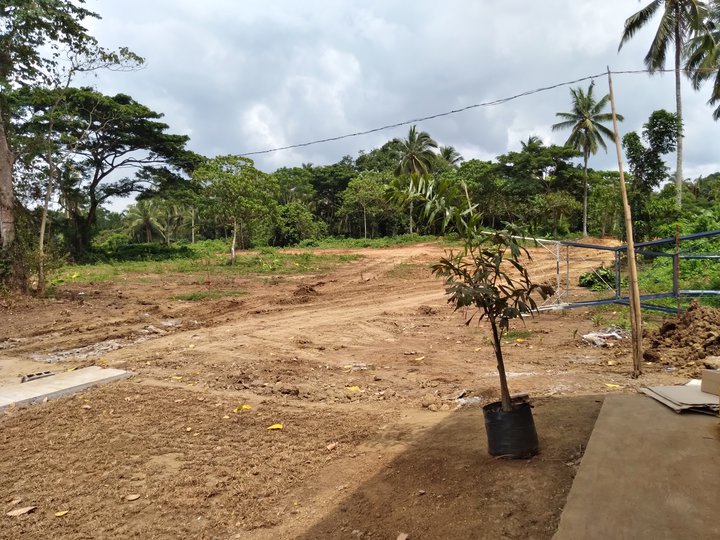 500 sqm Agro-Industrial Farm For Sale in Indang Cavite