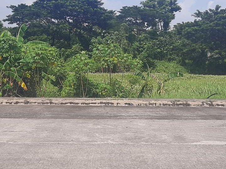 337sqm Lot For Sale in Plaridel Heights Installment Basis None Flooded