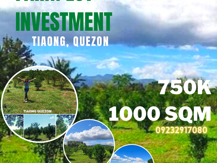 LOT FOR SALE 1,000sqm for only Php 750K With FRUIT BEARING TREES