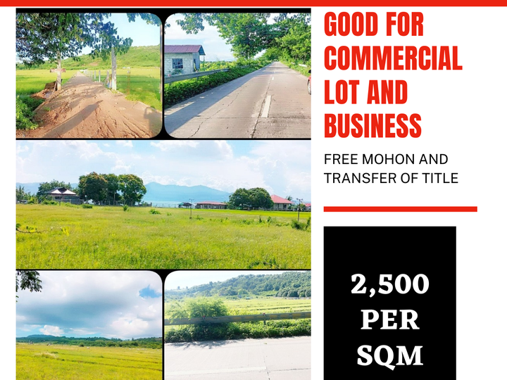 LOTS FOR SALE ALONG NATIONAL ROAD GOOD FOR BUSINESS AND INVESTMENT