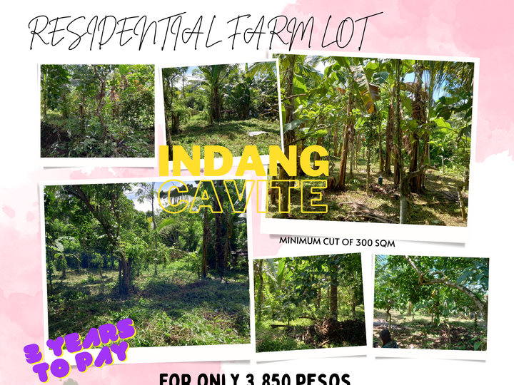 300 sqm Residential Farm For Sale in Indang Cavite