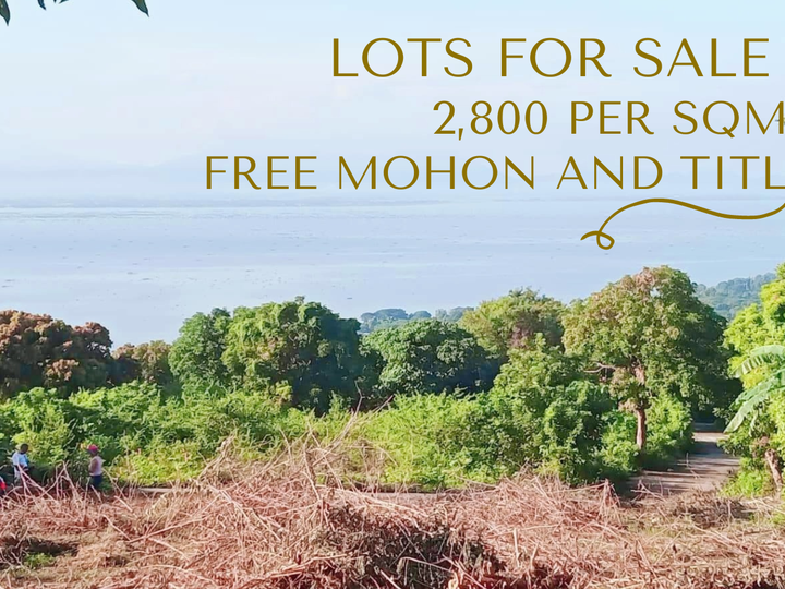 Affordable Lots for sale free mohon and title