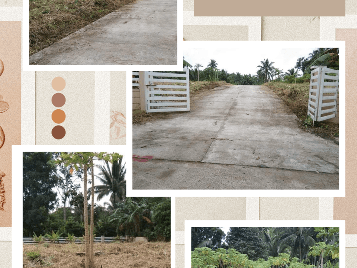 250 sqm Residential Farm For Sale in Amadeo Cavite