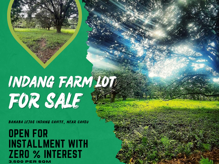 Farm Residential Lot near CAVSU Main Indang, Open for Installment