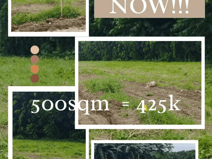 AFFORDABLE MINI FARM LOT FOR SALE in SARIAYA QUEZON