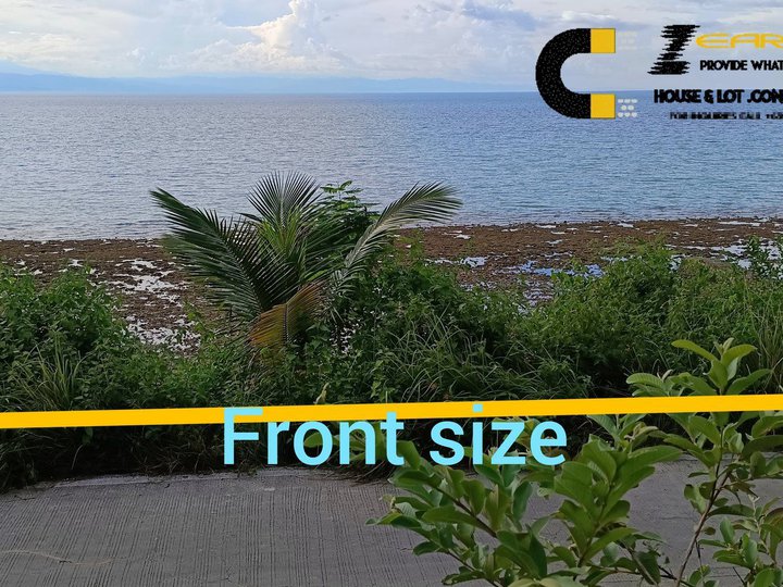 300 sqm Beach property For Sale in Dumanjug Cebu