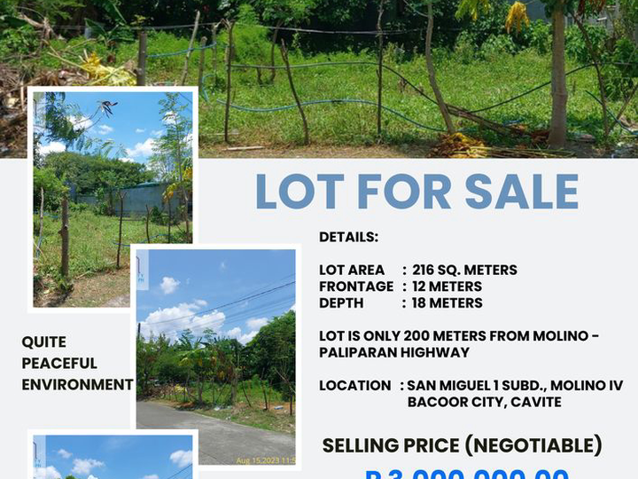 A vacant residential lot located inside San Miguel 1 Subdivision, Molino IV, Bacoor City, Cavite