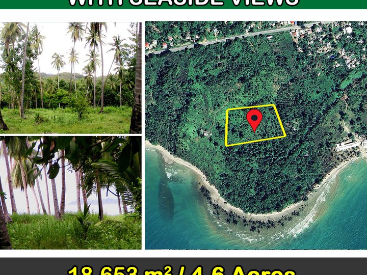 18,563 m2 / 4.6 Acres | Spacious Tropical Estate with Seaside Views