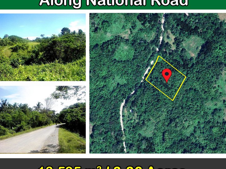 13,595 sqm Superior leisure farm along National Road