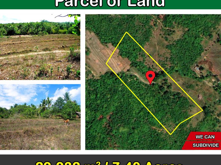 29,932 m2 / 7.40 Acres  Homestead Parcel of Land in Puerto Princesa