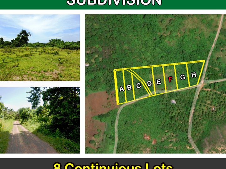 Luzviminda, Puerto Princesa City Agri-lots Subdivision with Commercial Potential near Beach