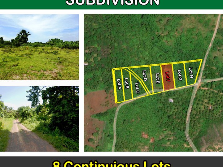 Luzviminda, Puerto Princesa City Agri-lots Subdivision with Commercial Potential near Beach