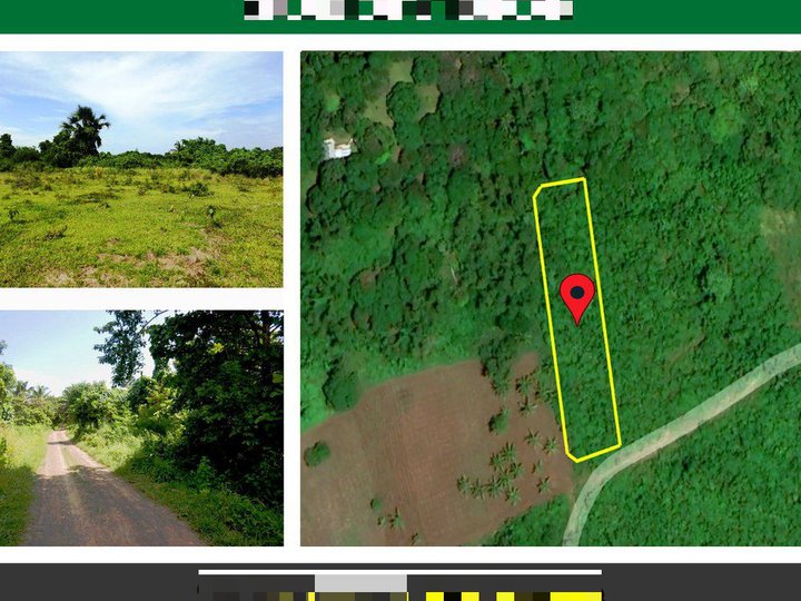 2,088 m2 Agri-lots Subdivision with Commercial Potential near Beach