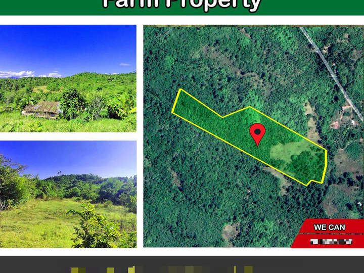 32,912 m2 / 8.13 Acres High Potential Homestead Farm Property