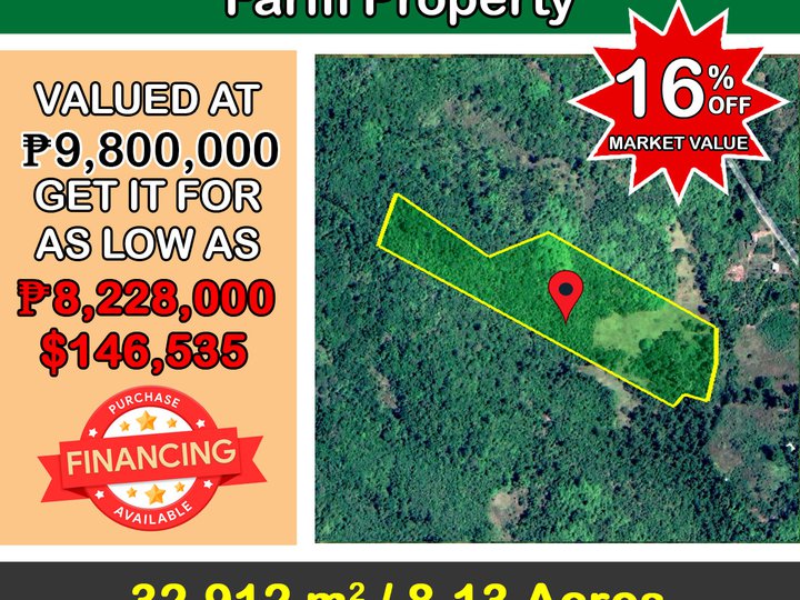 32,912 sqm Highly Distinguished Farm Property in Puerto Princesa
