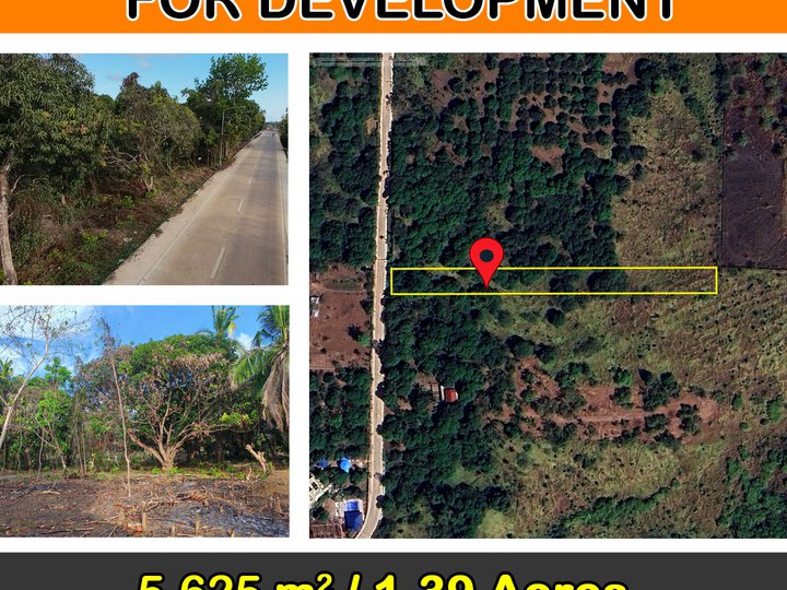 5,625 m2 / 1.39 Acres Residential Lot Ready for Development