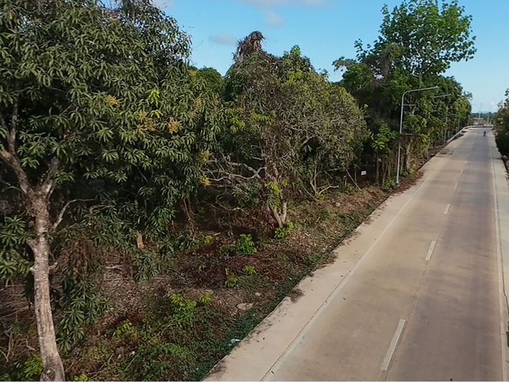 1,138 m2 / 12,249 ft2 | Residential Estate in an Upscale Neighborhood