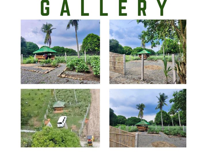 150 sqm Residential Farm For Sale in San Juan Batangas