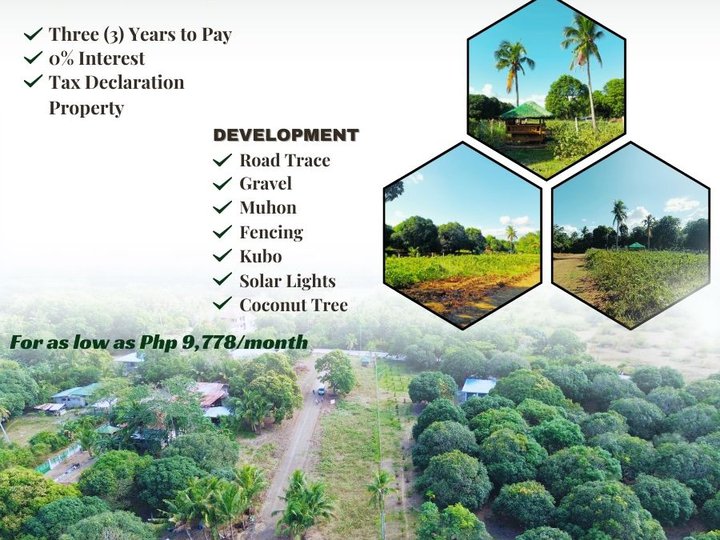 125 sqm Residential Lot For Sale in Padre Garcia Batangas