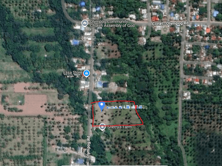 1.37 Hectares farm for sale in Purok 3 Olympog GSC