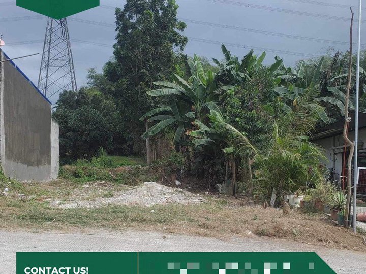 200 sqm Residential Farm Lot for Sale in San Pedro Batangas City