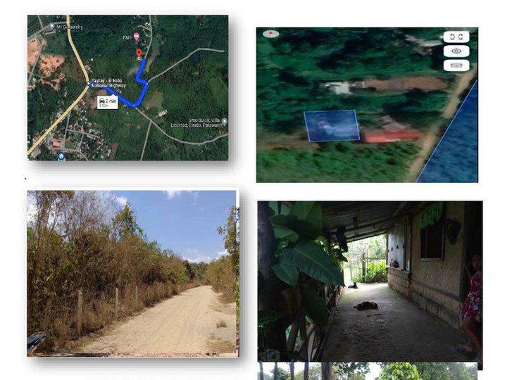 Pasto, villa Libertad, El nido, Palawan Lot Area: 492 sqm.