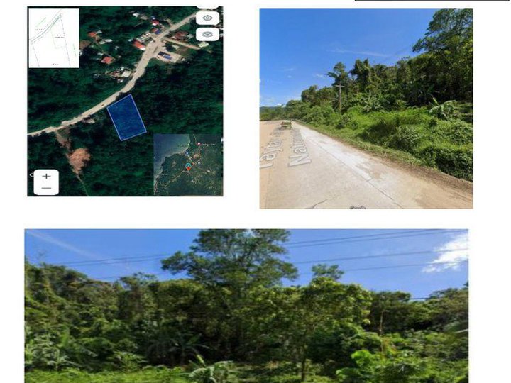 Nasigdan, Villa Libertad, El nido, Palawan ea: 2966 sqm,