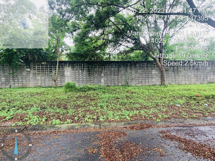 Bank Foreclosed Vacant Lot For Sale Willow Park Cabuyao Laguina