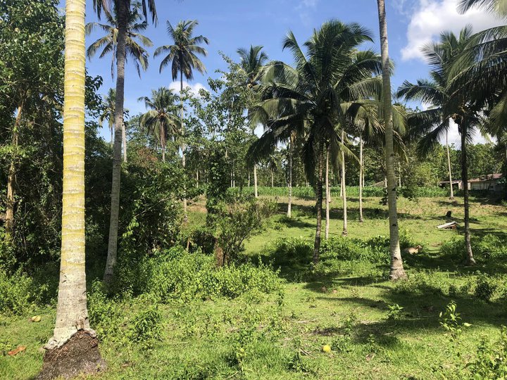 1.5 hectares Raw Land For Sale in Tubod Lanao del Norte
