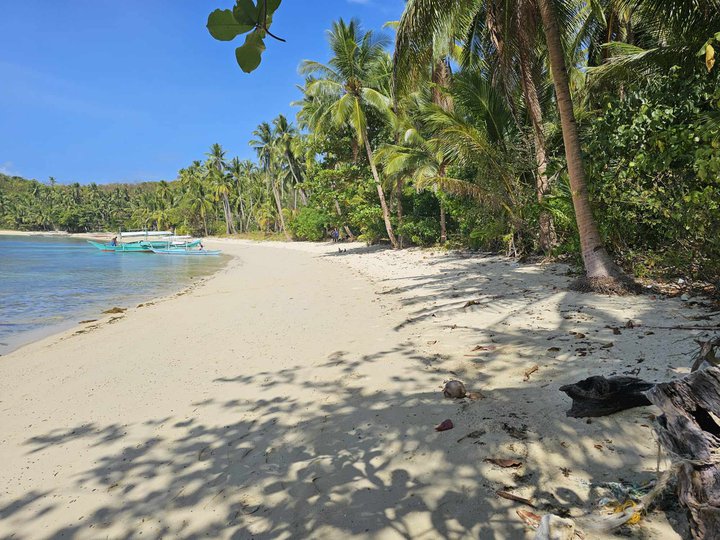 Area Fronting White Sand Beach