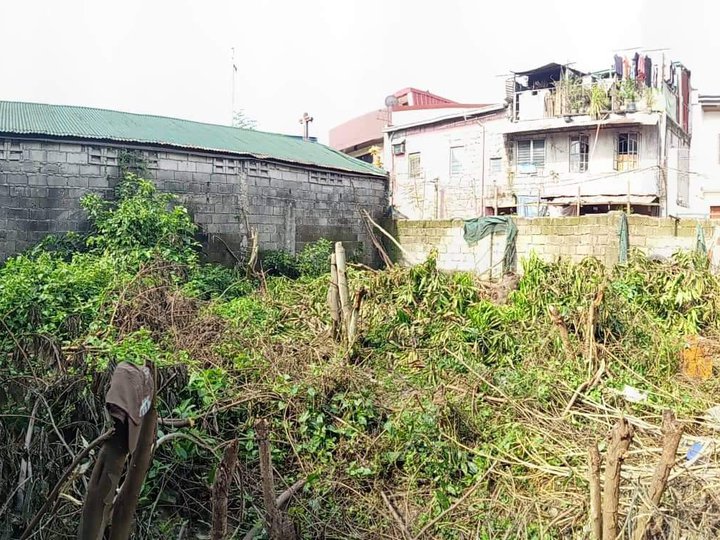 170 sqm Residential Lot For Sale by Owner in Tandang Sora Quezon City