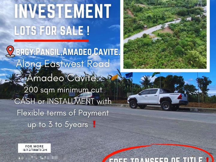 200 sqm Residential Lot For Sale in Amadeo Cavite