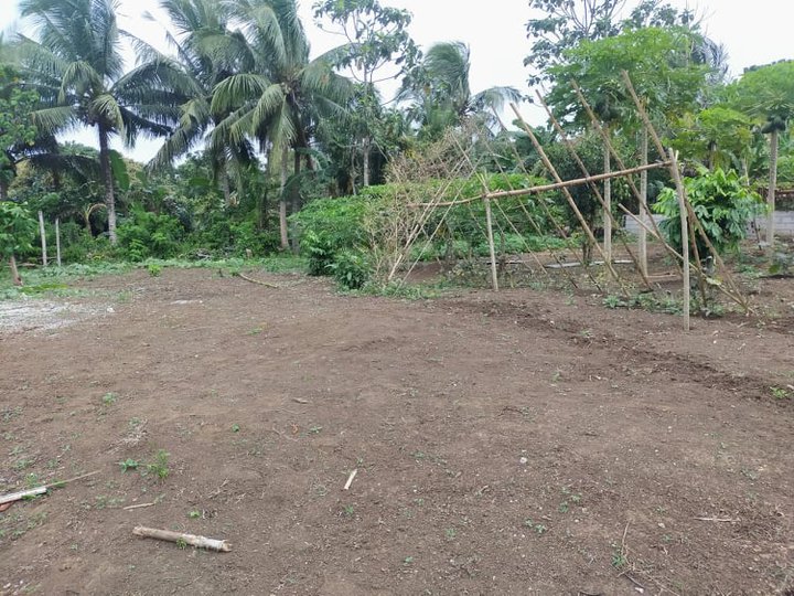 1,000 sqm lot for sale Amadeo Cavite