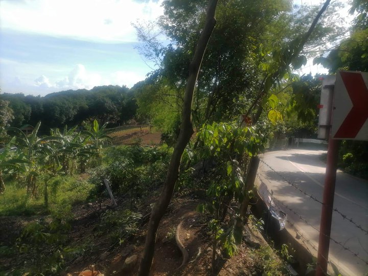 1500sqm lot for sale in Antipolo City (Beside the road)