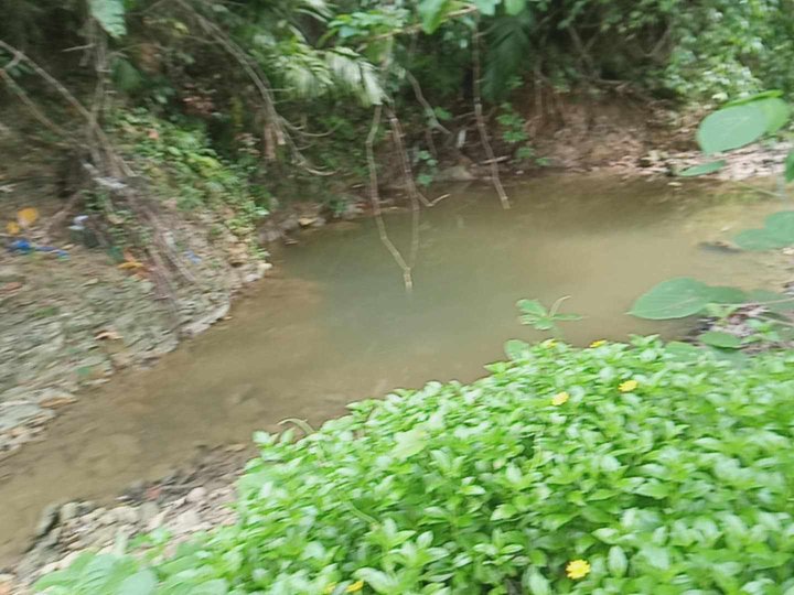 1.3 hectares Residential Lot For Sale in Barili South Cebu