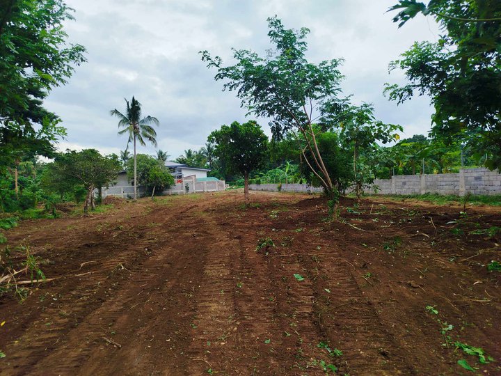 206 sqm Residential Farm For Sale in Indang Cavite