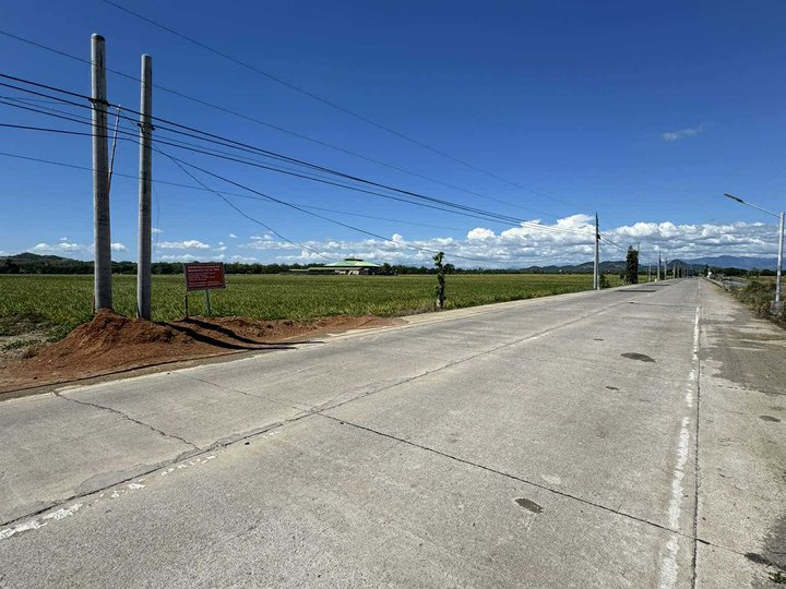 Commercial Lot Property for Sale in Talugtug, Nueva Ecija