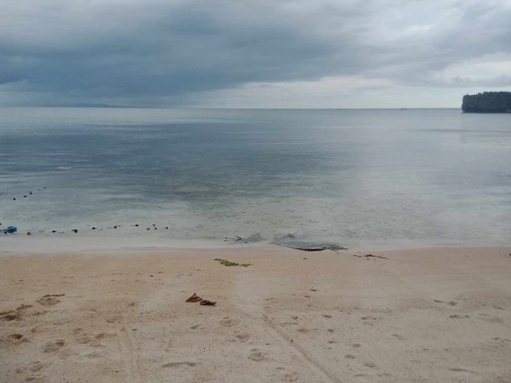 12 hectares Beach Property For Sale in Ferrol Romblon